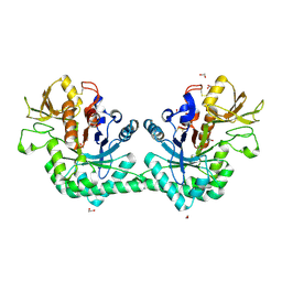 BU of 6g9c by Molmil