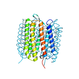 BU of 6gac by Molmil