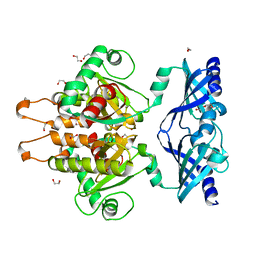 BU of 6gbs by Molmil