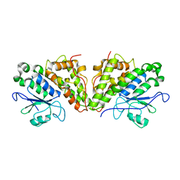 BU of 6gca by Molmil