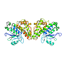 BU of 6gcb by Molmil