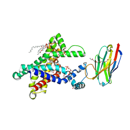 BU of 6gci by Molmil