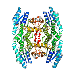 BU of 6gcl by Molmil