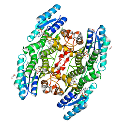 BU of 6gcp by Molmil