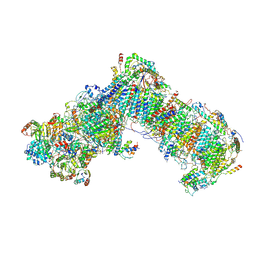 BU of 6gcs by Molmil