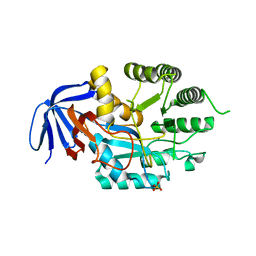 BU of 6gdd by Molmil