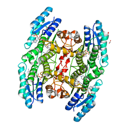 BU of 6gdo by Molmil