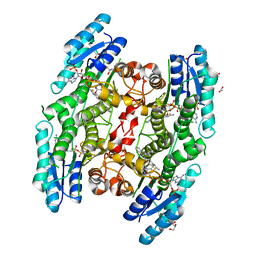 BU of 6gdp by Molmil