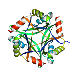 BU of 6gdu by Molmil