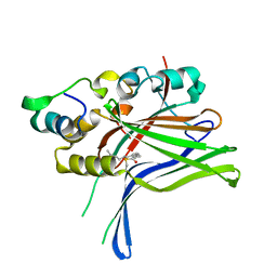 BU of 6ge4 by Molmil