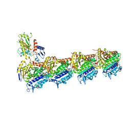 BU of 6gf3 by Molmil