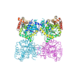 BU of 6gfl by Molmil