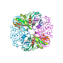 BU of 6gfp by Molmil