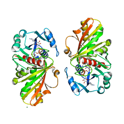 AU of 6gfr by Molmil