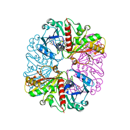 BU of 6gfr by Molmil