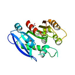 BU of 6gi0 by Molmil