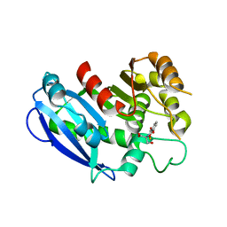 BU of 6gi1 by Molmil