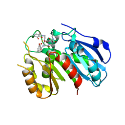 BU of 6gi5 by Molmil