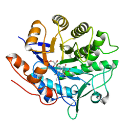 BU of 6gi8 by Molmil