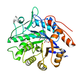 BU of 6gi9 by Molmil