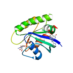 BU of 6gj5 by Molmil