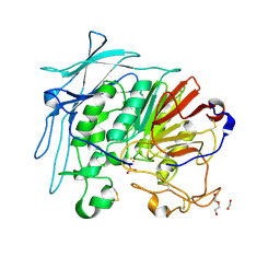 BU of 6gj9 by Molmil