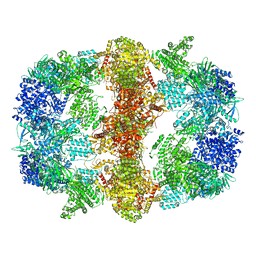 BU of 6gjc by Molmil