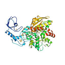 BU of 6gm8 by Molmil