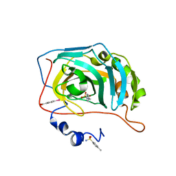 BU of 6gm9 by Molmil