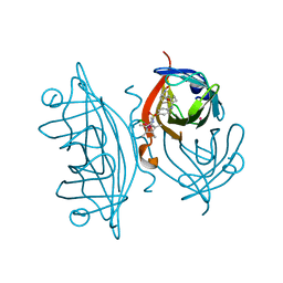 BU of 6gmi by Molmil