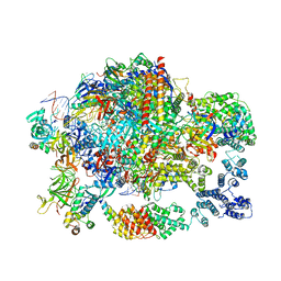 BU of 6gml by Molmil