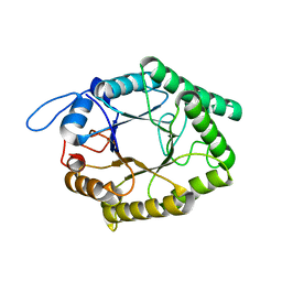 BU of 6gp5 by Molmil