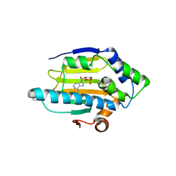 BU of 6gpr by Molmil