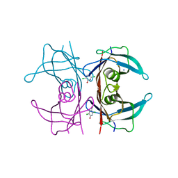 BU of 6grp by Molmil