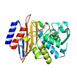 BU of 6gth by Molmil