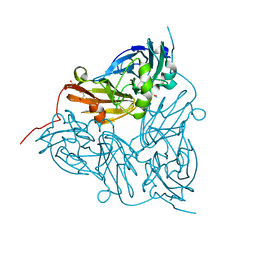 BU of 6gtl by Molmil