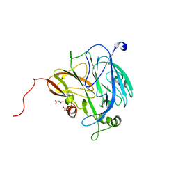 AU of 6gtl by Molmil