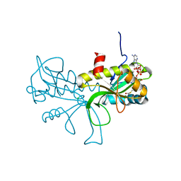 BU of 6gtp by Molmil