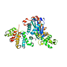 BU of 6gvc by Molmil