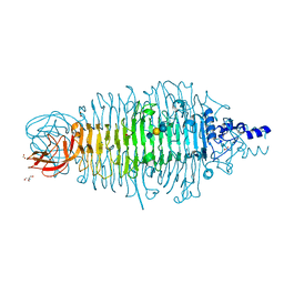 BU of 6gvr by Molmil