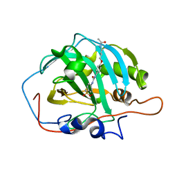 BU of 6gxb by Molmil