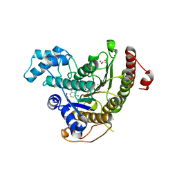 BU of 6gxw by Molmil