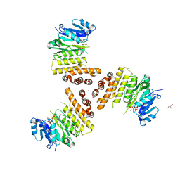 BU of 6h21 by Molmil