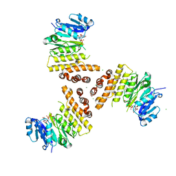 BU of 6h2n by Molmil