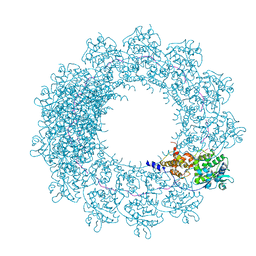 BU of 6h5s by Molmil