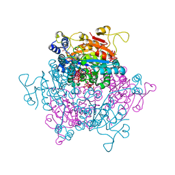 BU of 6h8b by Molmil