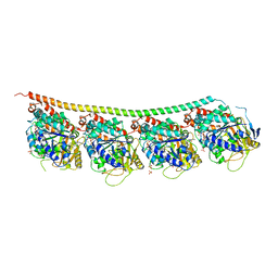 BU of 6h9b by Molmil