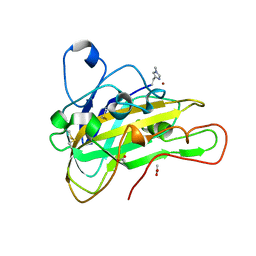 BU of 6ha5 by Molmil