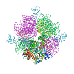 BU of 6hbc by Molmil