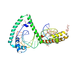 BU of 6hc3 by Molmil